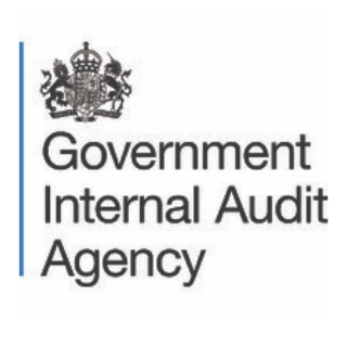 The Government Internal Audit Agency