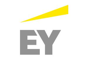 Ernst & Young, Project Coordinator